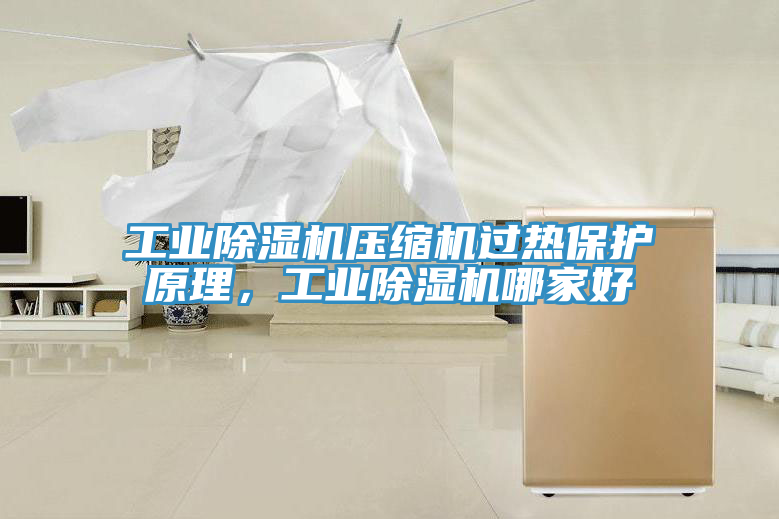 工業(yè)除濕機(jī)壓縮機(jī)過熱保護(hù)原理，工業(yè)除濕機(jī)哪家好
