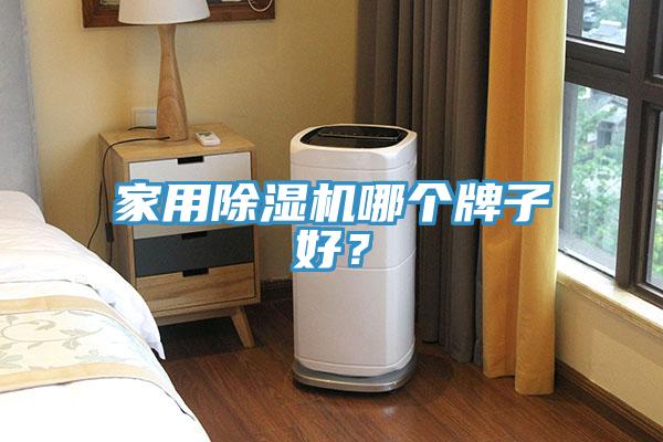 家用除濕機(jī)哪個(gè)牌子好？