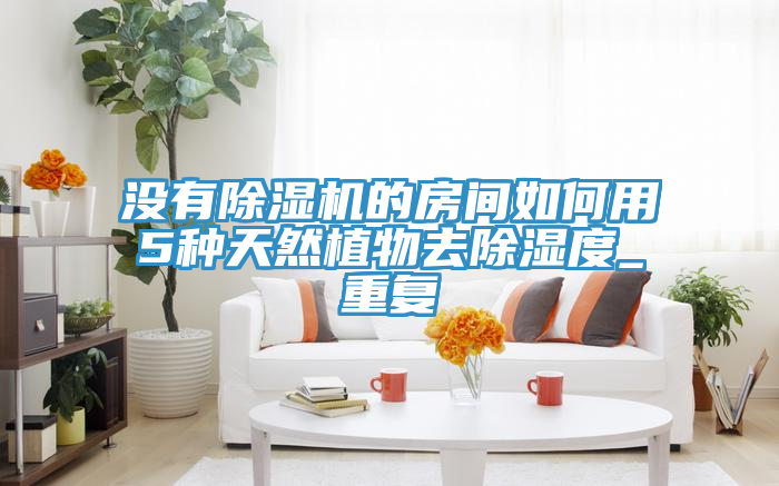 沒有除濕機的房間如何用5種天然植物去除濕度_重復(fù)