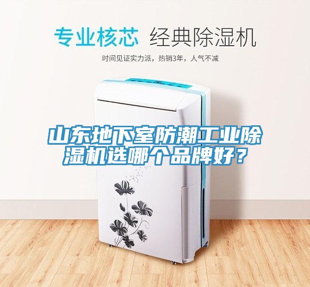 山東地下室防潮工業(yè)除濕機(jī)選哪個(gè)品牌好？