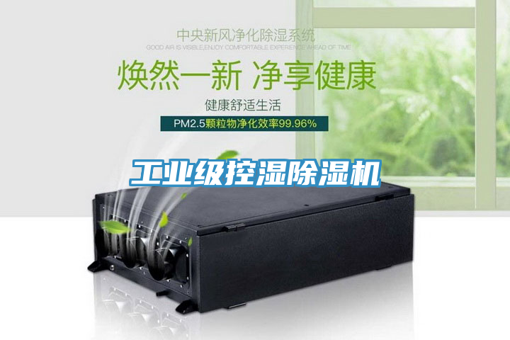 工業(yè)級控濕除濕機(jī)