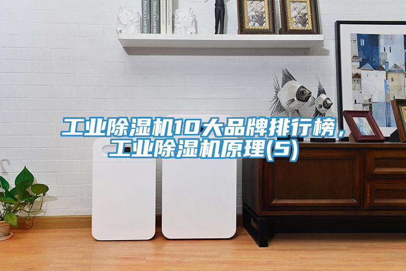 工業(yè)除濕機(jī)10大品牌排行榜，工業(yè)除濕機(jī)原理(5)