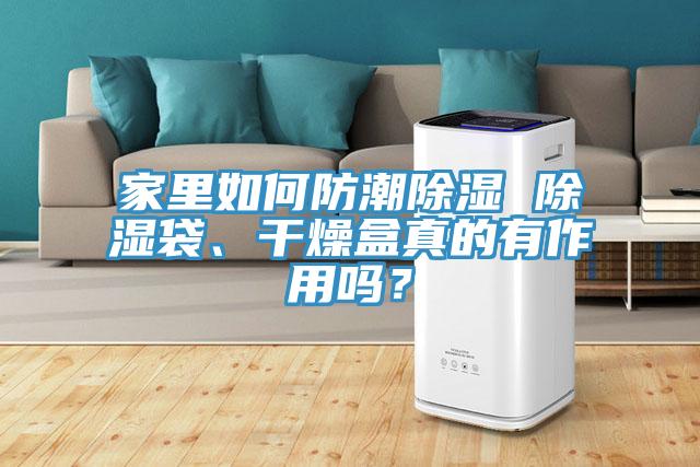 家里如何防潮除濕 除濕袋、干燥盒真的有作用嗎？