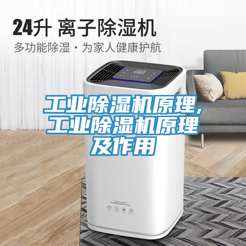 工業(yè)除濕機(jī)原理,工業(yè)除濕機(jī)原理及作用