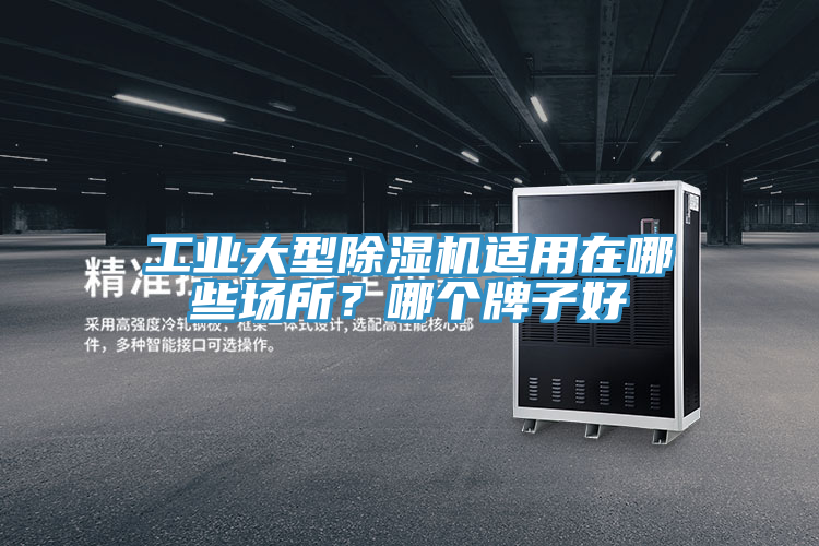 工業(yè)大型除濕機適用在哪些場所？哪個牌子好