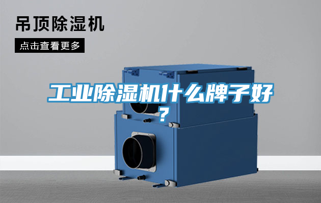 工業(yè)除濕機什么牌子好？
