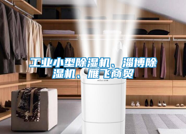 工業(yè)小型除濕機、淄博除濕機、雁飛商貿(mào)