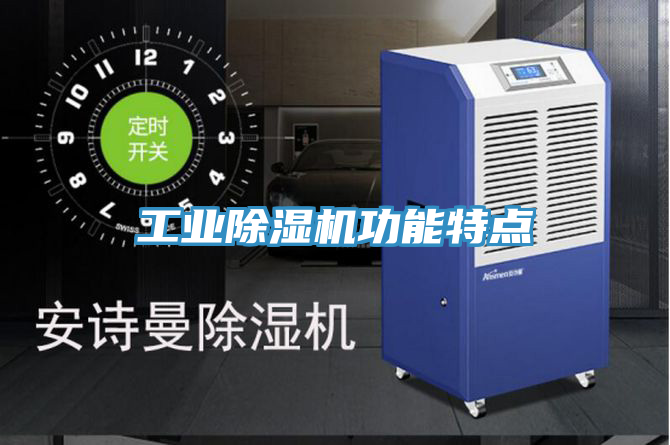 工業(yè)除濕機功能特點