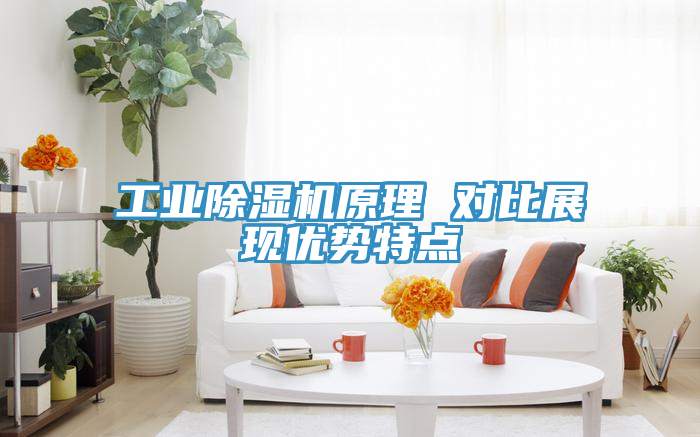 工業(yè)除濕機(jī)原理 對比展現(xiàn)優(yōu)勢特點(diǎn)