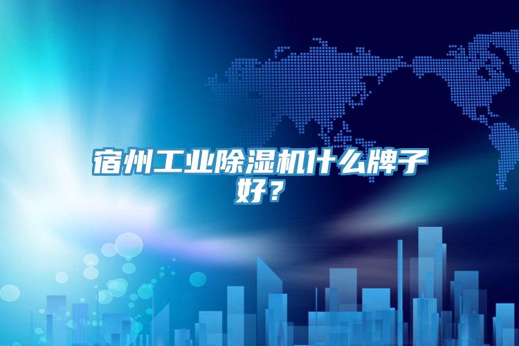 宿州工業(yè)除濕機(jī)什么牌子好？