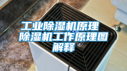 工業(yè)除濕機(jī)原理 除濕機(jī)工作原理圖解釋