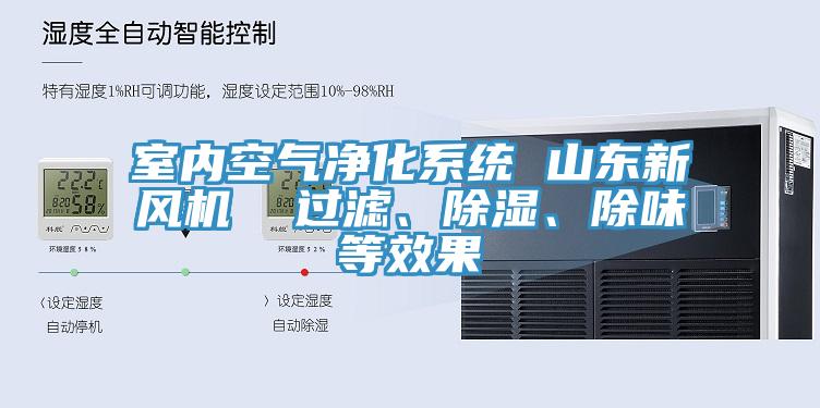 室內(nèi)空氣凈化系統(tǒng) 山東新風(fēng)機(jī)  過濾、除濕、除味等效果