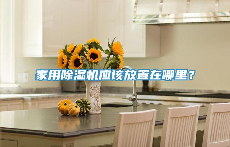 家用除濕機應該放置在哪里？