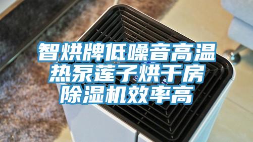 智烘牌低噪音高溫?zé)岜蒙徸雍娓煞砍凉駲C效率高