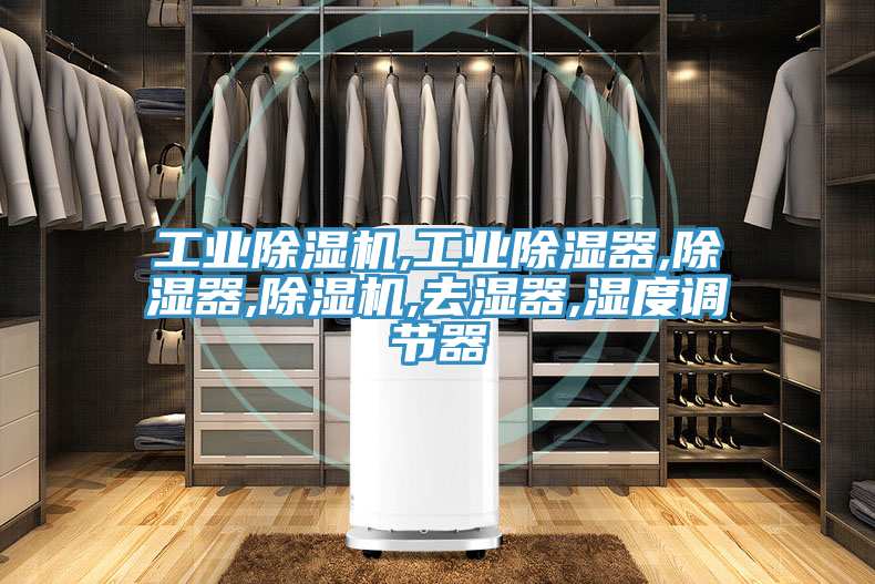 工業(yè)除濕機,工業(yè)除濕器,除濕器,除濕機,去濕器,濕度調(diào)節(jié)器