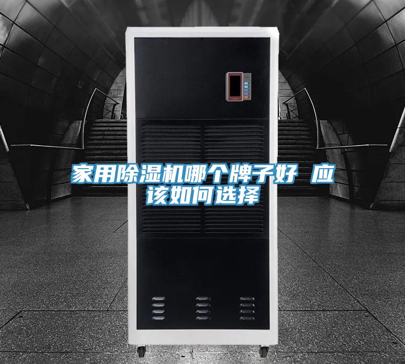 家用除濕機(jī)哪個牌子好 應(yīng)該如何選擇