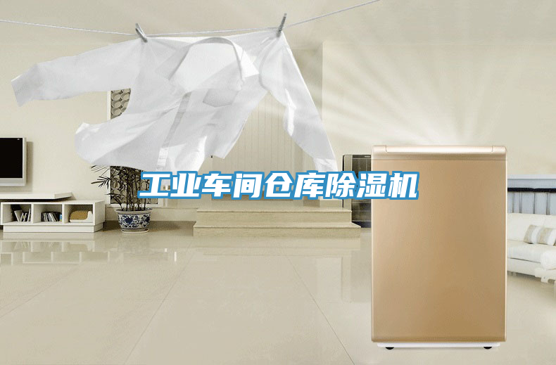 工業(yè)車間倉庫除濕機(jī)