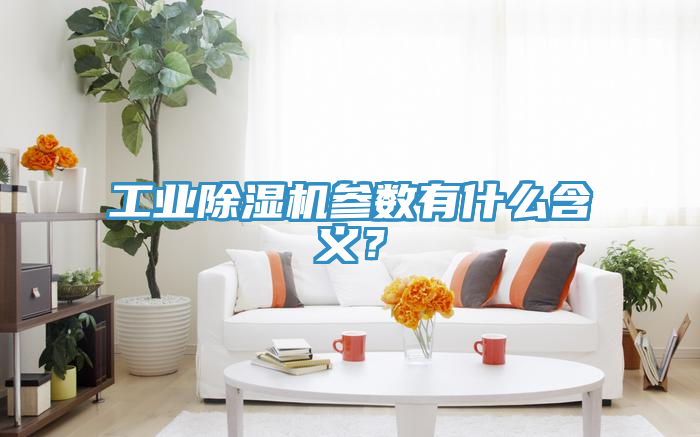 工業(yè)除濕機(jī)參數(shù)有什么含義？