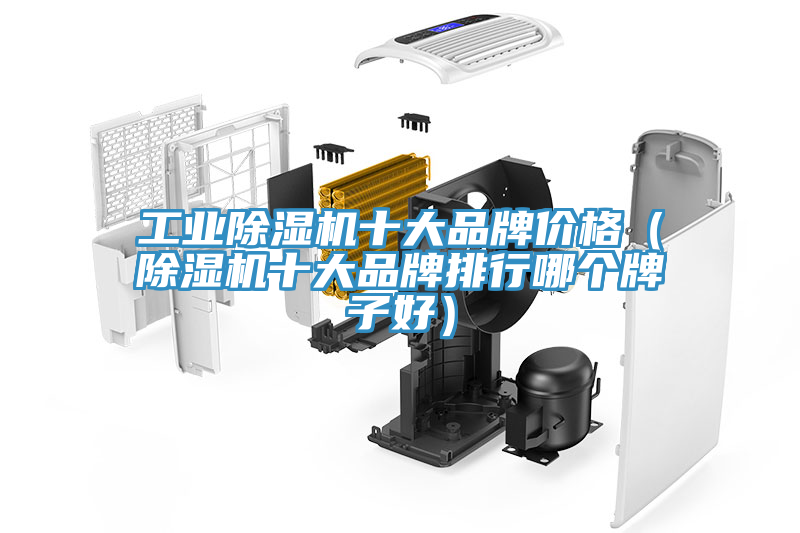 工業(yè)除濕機十大品牌價格（除濕機十大品牌排行哪個牌子好）