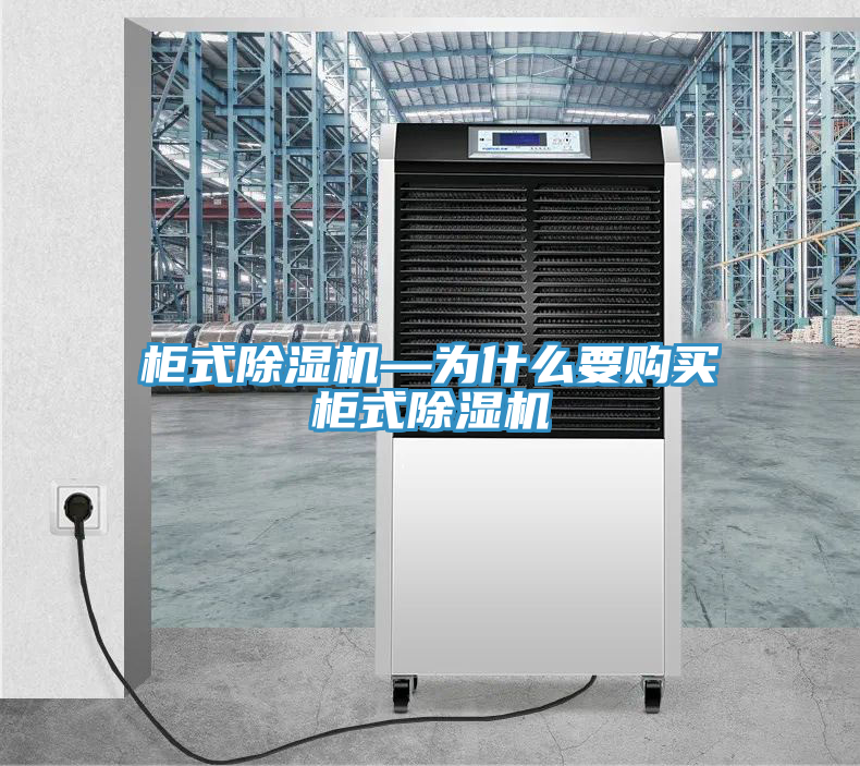柜式除濕機—為什么要購買柜式除濕機