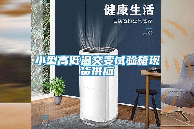小型高低溫交變試驗(yàn)箱現(xiàn)貨供應(yīng)