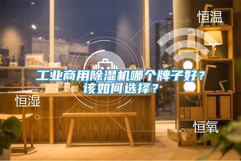 工業(yè)商用除濕機(jī)哪個(gè)牌子好？該如何選擇？