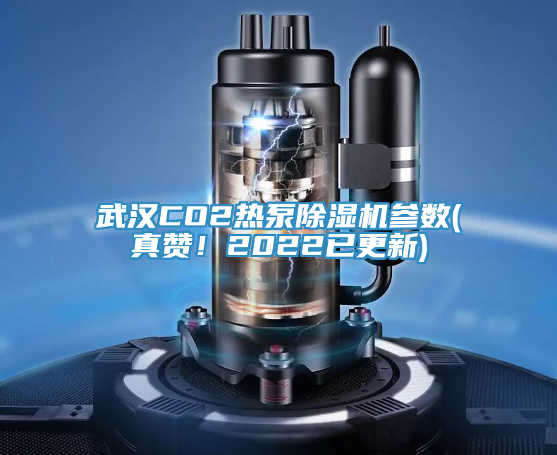武漢CO2熱泵除濕機(jī)參數(shù)(真贊！2022已更新)