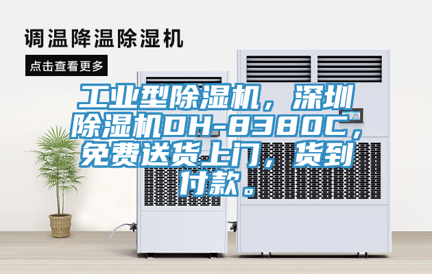工業(yè)型除濕機，深圳除濕機DH-8380C，免費送貨上門，貨到付款。