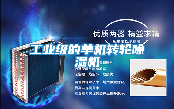 工業(yè)級的單機(jī)轉(zhuǎn)輪除濕機(jī)