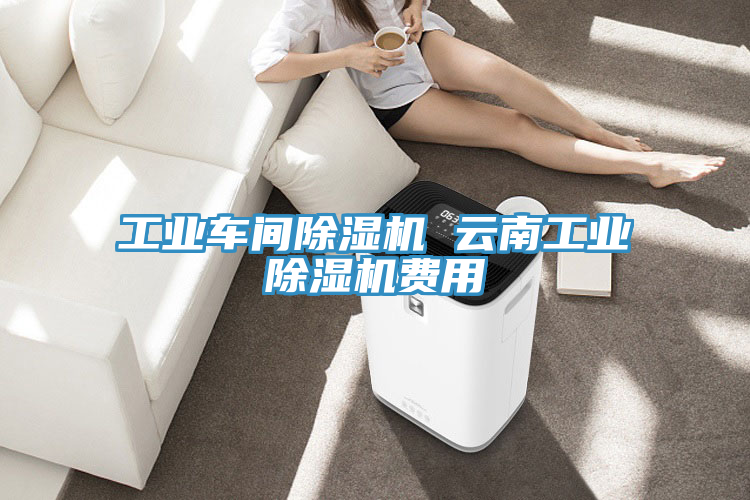 工業(yè)車間除濕機(jī) 云南工業(yè)除濕機(jī)費(fèi)用