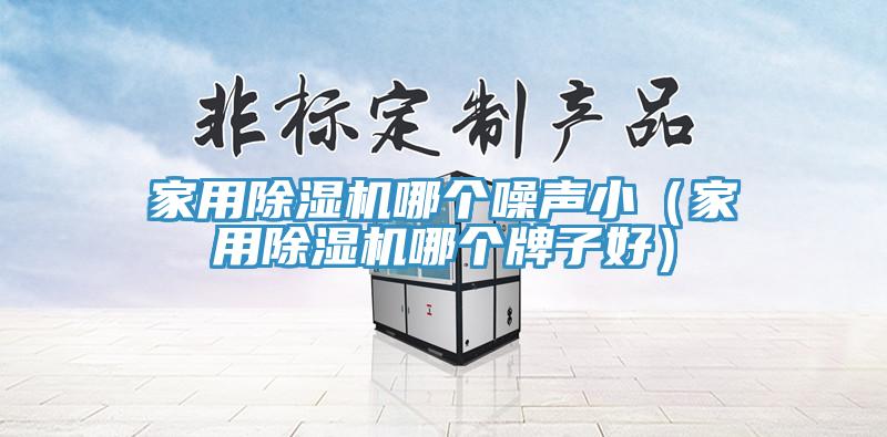 家用除濕機(jī)哪個噪聲?。矣贸凉駲C(jī)哪個牌子好）