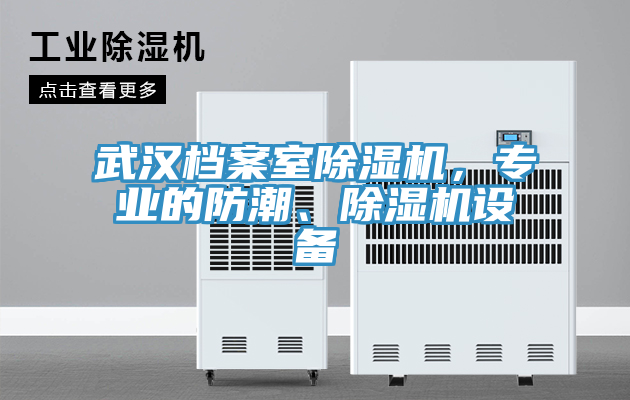 武漢檔案室除濕機(jī)，專業(yè)的防潮、除濕機(jī)設(shè)備