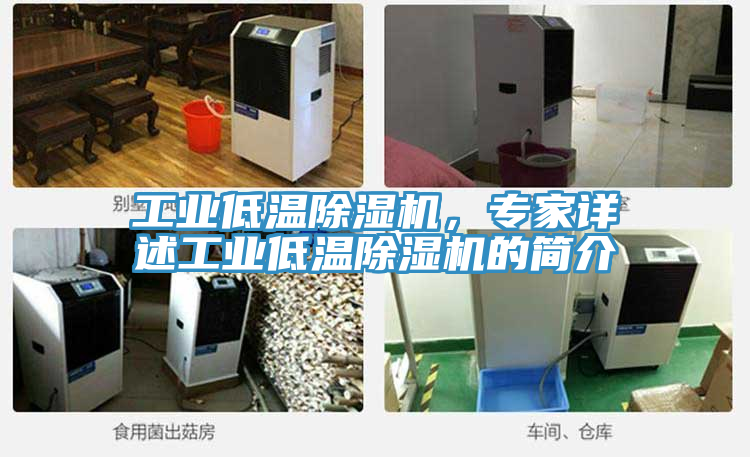 工業(yè)低溫除濕機(jī)，專家詳述工業(yè)低溫除濕機(jī)的簡(jiǎn)介