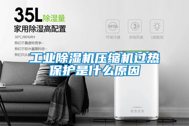 工業(yè)除濕機(jī)壓縮機(jī)過熱保護(hù)是什么原因