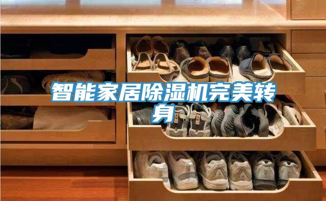 智能家居除濕機完美轉(zhuǎn)身