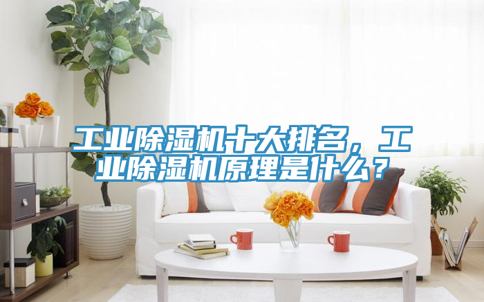 工業(yè)除濕機(jī)十大排名，工業(yè)除濕機(jī)原理是什么？