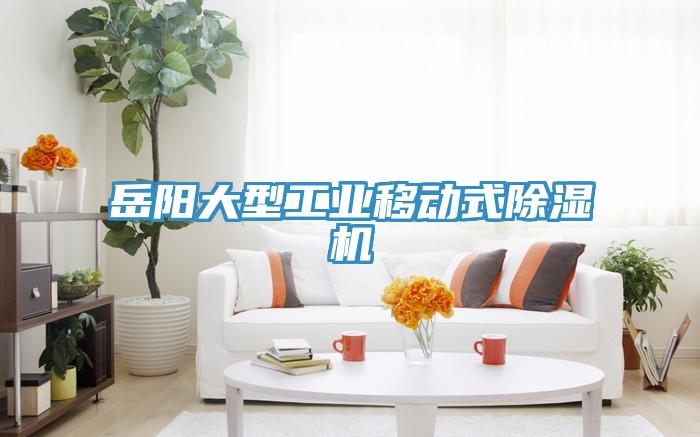 岳陽大型工業(yè)移動式除濕機(jī)