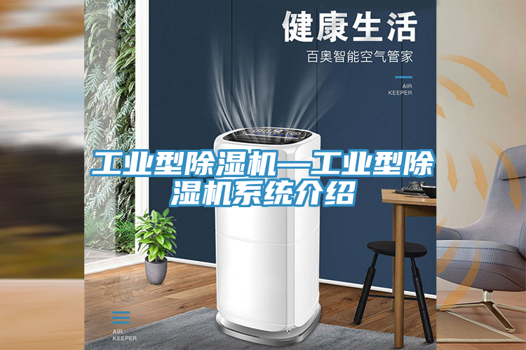 工業(yè)型除濕機—工業(yè)型除濕機系統(tǒng)介紹