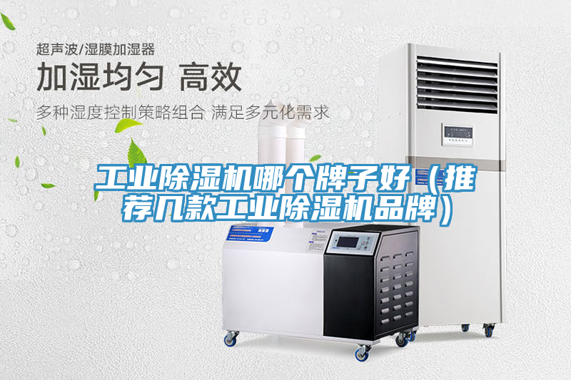 工業(yè)除濕機哪個牌子好（推薦幾款工業(yè)除濕機品牌）