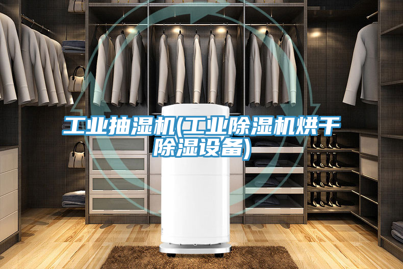 工業(yè)抽濕機(工業(yè)除濕機烘干除濕設備)