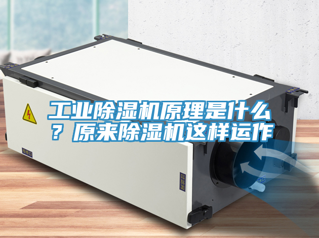 工業(yè)除濕機(jī)原理是什么？原來除濕機(jī)這樣運(yùn)作