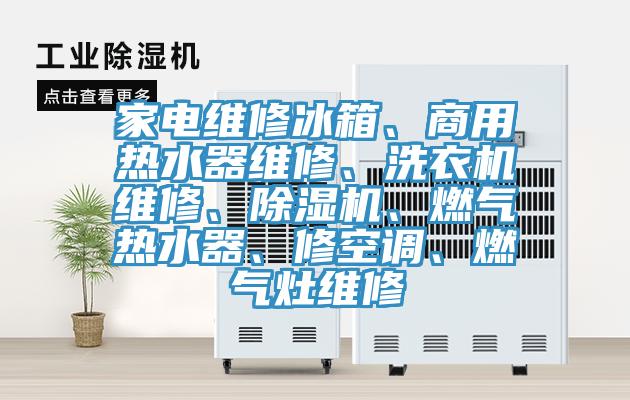 家電維修冰箱、商用熱水器維修、洗衣機(jī)維修、除濕機(jī)、燃?xì)鉄崴?、修空調(diào)、燃?xì)庠罹S修