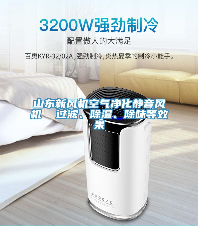 山東新風(fēng)機(jī)空氣凈化靜音風(fēng)機(jī)  過濾、除濕、除味等效果