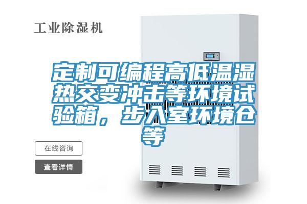 定制可編程高低溫濕熱交變沖擊等環(huán)境試驗(yàn)箱，步入室環(huán)境倉等