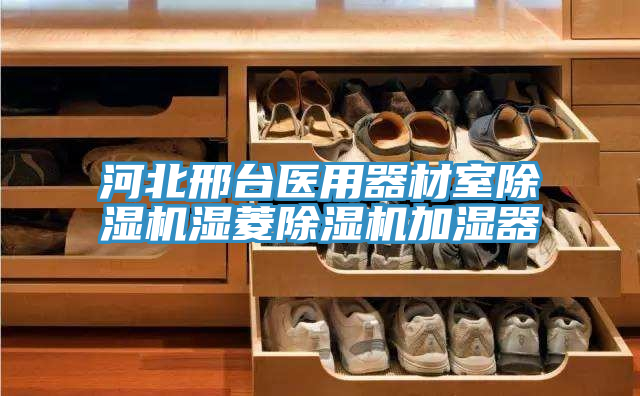 河北邢臺醫(yī)用器材室除濕機濕菱除濕機加濕器