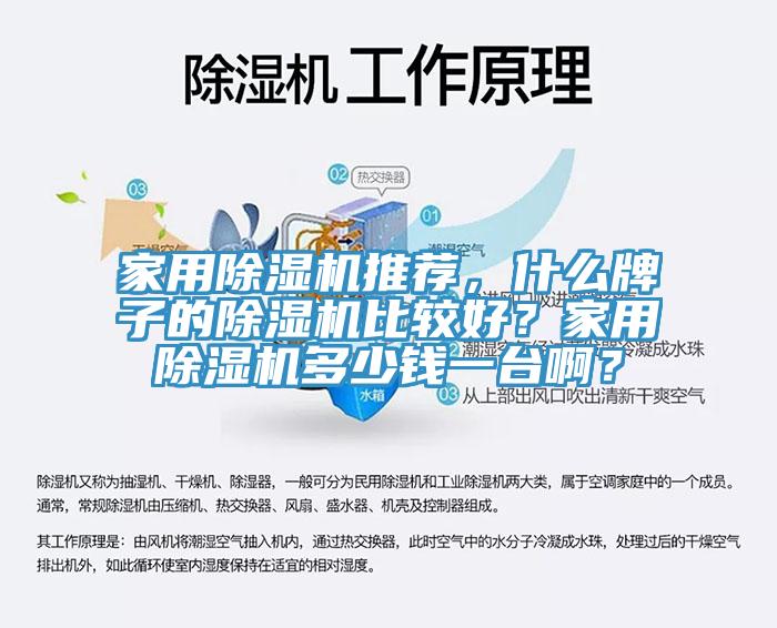 家用除濕機推薦，什么牌子的除濕機比較好？家用除濕機多少錢一臺??？