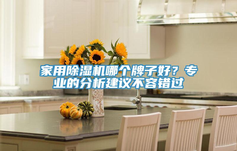 家用除濕機(jī)哪個(gè)牌子好？專(zhuān)業(yè)的分析建議不容錯(cuò)過(guò)