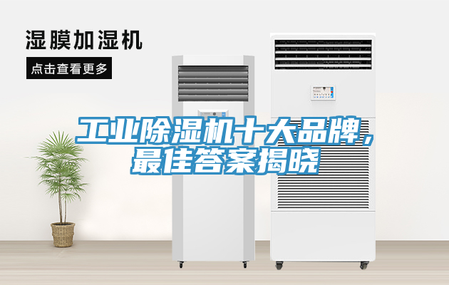 工業(yè)除濕機十大品牌，最佳答案揭曉