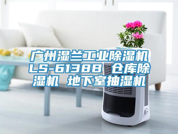廣州濕蘭工業(yè)除濕機(jī)LS-6138B 倉(cāng)庫(kù)除濕機(jī) 地下室抽濕機(jī)
