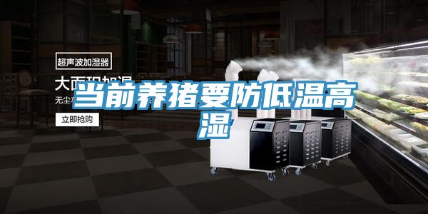 當(dāng)前養(yǎng)豬要防低溫高濕